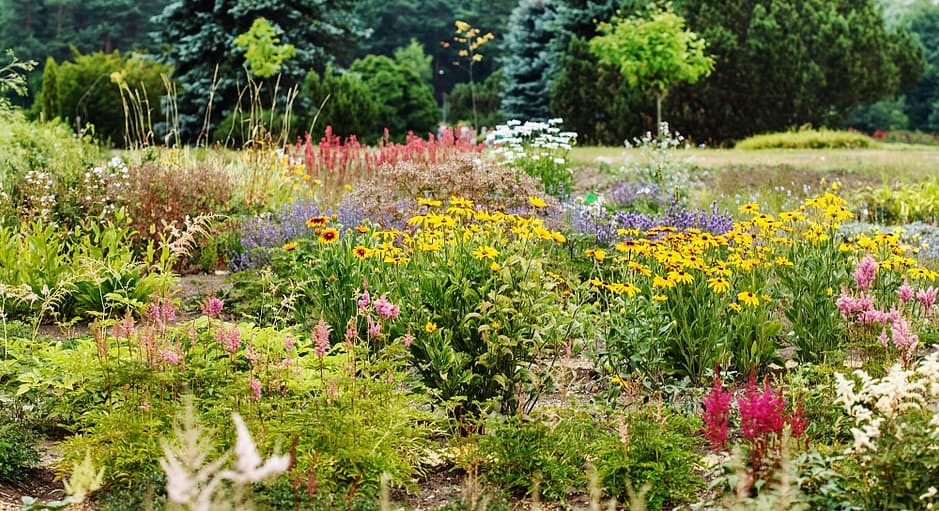 best pollinator garden books - Summer flower garden attracts pollinators