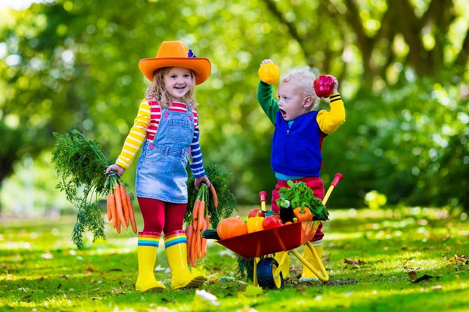 how to grow foods organically - Kids picking vegetables on organic farm