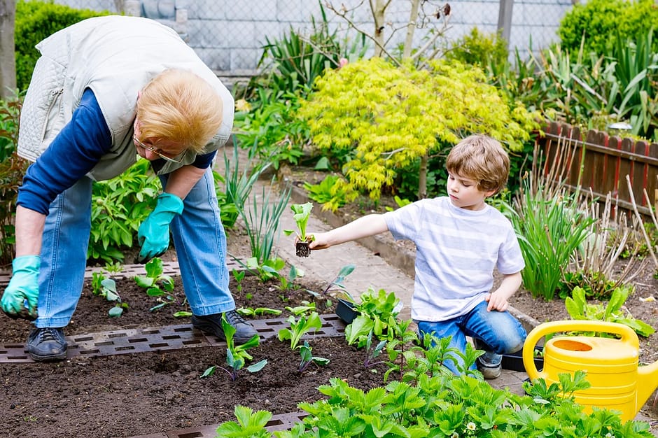 beginner organic gardening - grandmother and grandson working in garden