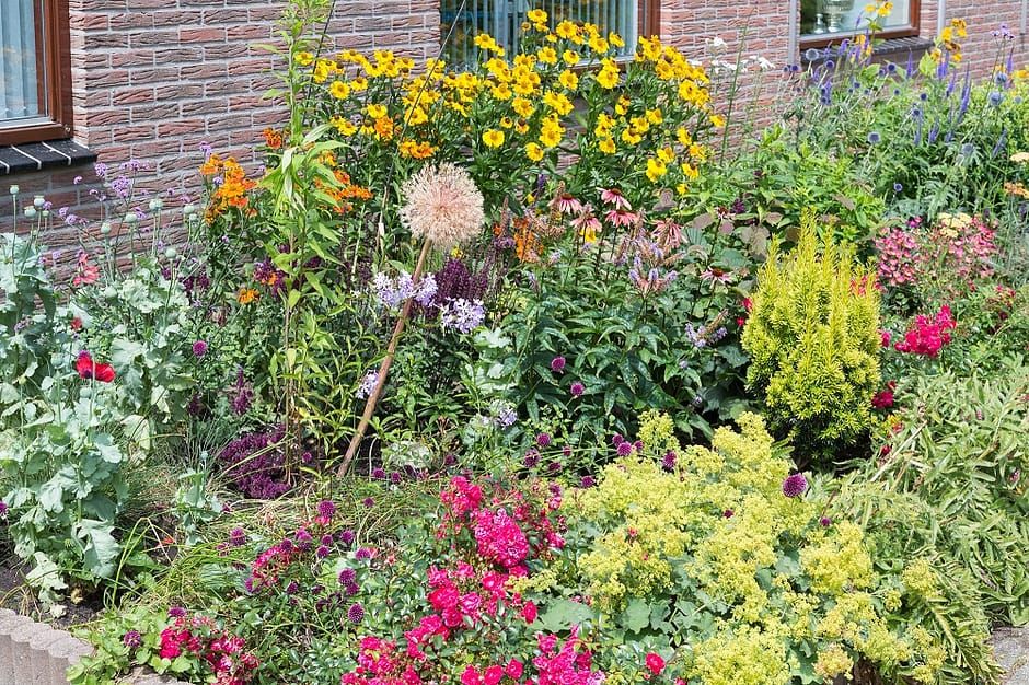 perennials for bees - herb garden with sunflowers 