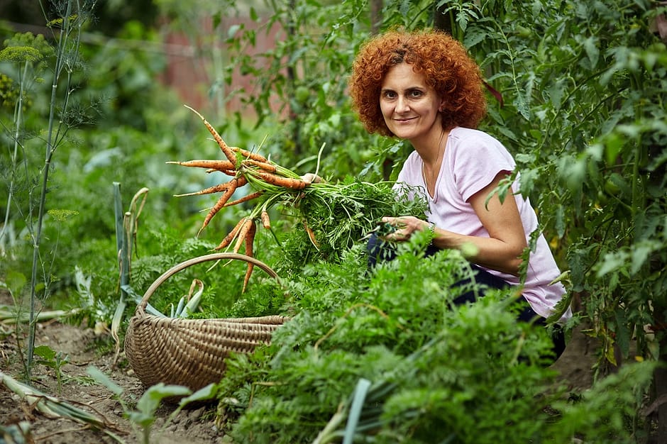 best organic gardening books - Woman farmer picking carrots from organic garden